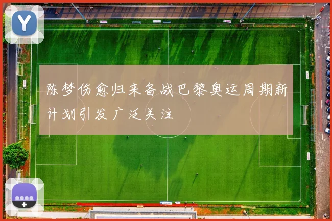 陈梦伤愈归来备战巴黎奥运周期新计划引发广泛关注