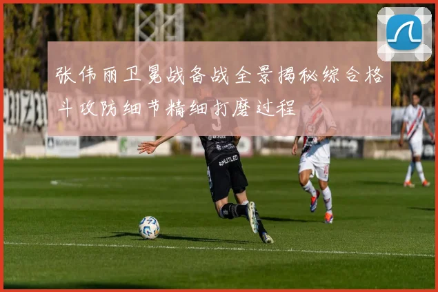 张伟丽卫冕战备战全景揭秘综合格斗攻防细节精细打磨过程