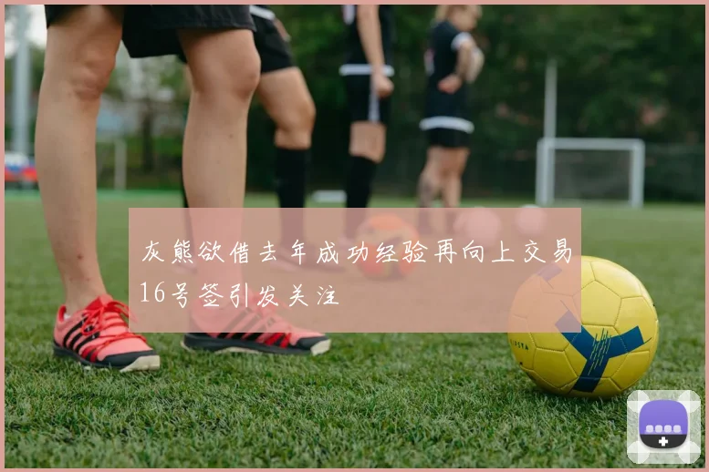灰熊欲借去年成功经验再向上交易16号签引发关注