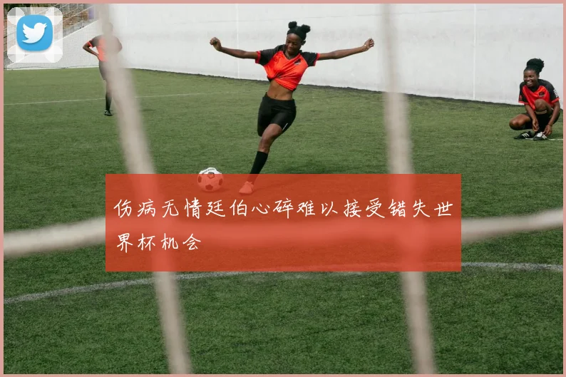 伤病无情廷伯心碎难以接受错失世界杯机会